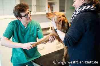 Tierarzt-Zentrum in Herford erweitert seinen Notdienst