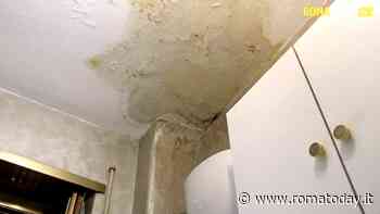 Il Comune interviene, ma le infiltrazioni tornano dopo un anno, Zevi: "Sono due interventi diversi"