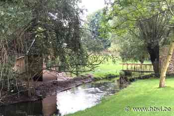 Deze ingrepen moeten waterellende in Oud-Rekem voorkomen: “Ze hebben een eerste test goed doorstaan”