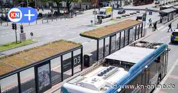 Versiegelung und Grünflächen: Kiel schneidet im DUH-Hitze-Check gut ab