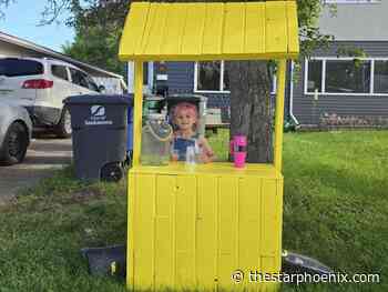 Saskatoon girl robbed at lemonade stand but heads back to work with millionaire dreams