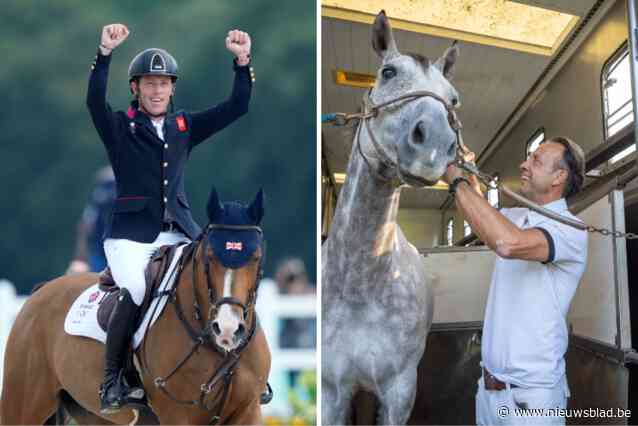 Deze amateurfokker uit Zoersel kweekte paard dat Groot-Brittannië mee goud bezorgde: “Ik heb hier nog twee zussen van Jefferson staan”