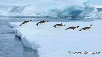 5 Linux commands to use for quickly viewing the content of files