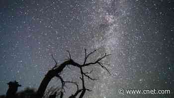 Perseids Meteor Shower Will Peak in August: Here's How to Watch