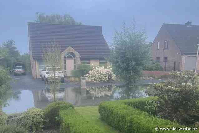 Tientallen straten in Petegem lopen onder water na wolkbreuk die een uur duurde