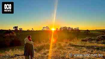 Big Pineapple brewery relocates after fruitless search for new home due to 'embarrassing' red tape