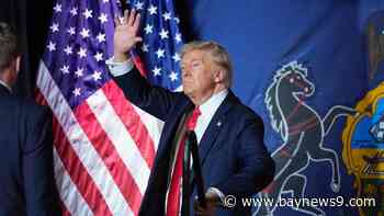 The Big Stories: Harris gets enough votes for nomination, and Trump strikes back against 'weird' attacks