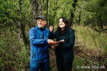 KU Leuven heeft 165 ha universiteitsbos in Hamont: “We dachten dat de den onze bossen zou redden, maar die is zwaar bedreigd”