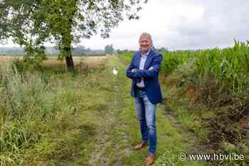 Tongerse historicus wil Romeinse wegen in Limburg beschermd zien na erkenning Via Appia als werelderfgoed