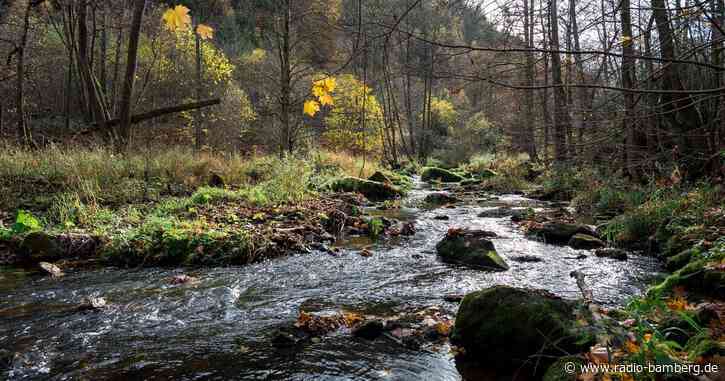 Naturschützer wollen gegen Bau der Frankenwaldbrücken klagen