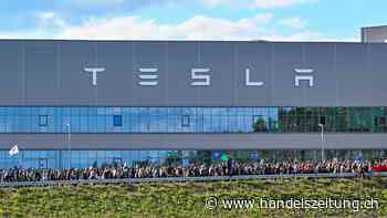 Tesla hält an Fabrikausbau in Deutschland fest