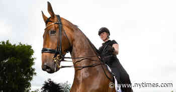 Cómo enseñarle a bailar a un caballo
