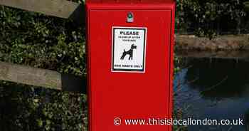 The number of complaints about dog poo across Bexley