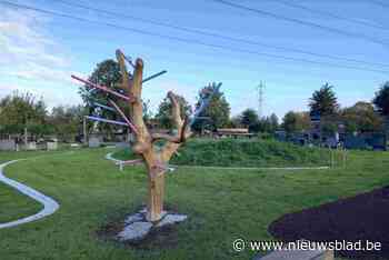 Er komt sterrenweide op begraafplaats Centrum