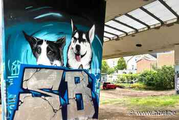 Originele Genkse graffiti is overschilderd, maar is dat dan vernieling? “Smaken verschillen”