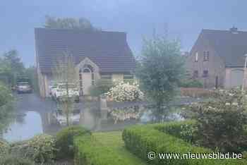 Tientallen straten in Petegem blank na plotse wolkbreuk