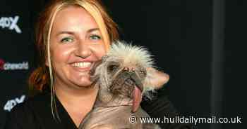 Deadpool fans meet 'Britain's ugliest dog' and film star Peggy at Hull Cineworld