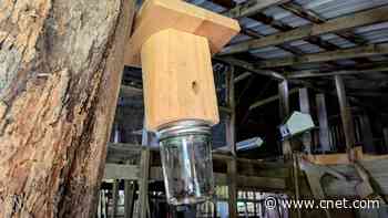 3 Simple Soutions for a More Enjoyable, Bug-free Outdoor Living Space