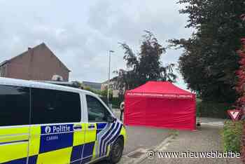 Vrouw (64) wordt onwel in auto en overlijdt in Bree