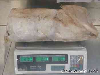 Illicit drug lab equipment, chemicals originated in B.C., but wound up seized in resort city in Fiji