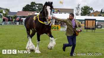 Historic country show to celebrate farming and food