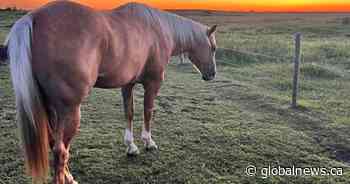 Your Saskatchewan photo of the day: August 2024