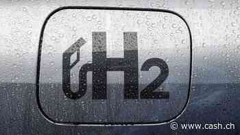 Deutsche Wasserstoff-Strategie ignoriert fehlende Infrastruktur