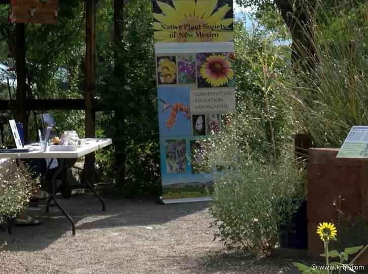 'Summer Wings' festival encourages locals to learn about nature