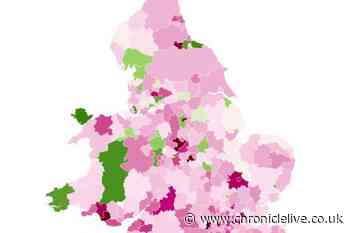 Interactive map shows number of thefts near you as shoplifting hits record high in North East