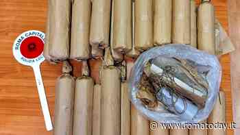 A passeggio con il cane trova bombe carta e fuochi d'artificio sotto un'auto