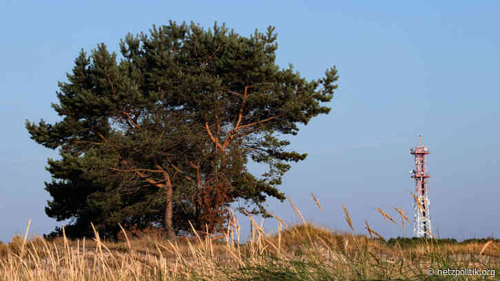 Gesetzentwurf: Netzausbau soll im „überragenden öffentlichen Interesse“ stehen