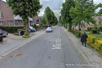 Dief gooit kassei door ruit van wagen om portefeuille te stelen