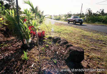 David Shapiro: The Dana Ireland murder continues to shake lives