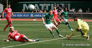 Werder U23 - Eintracht Norderstedt (HL)