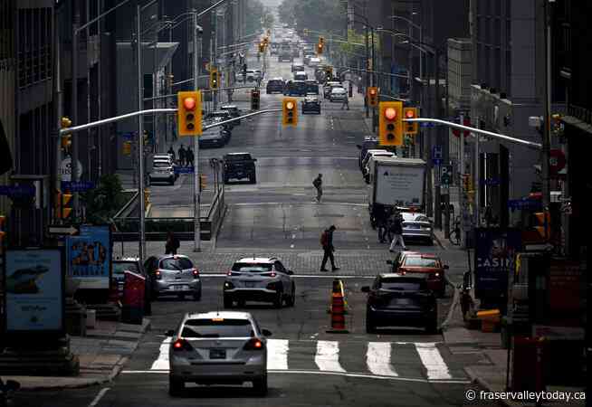 Ottawa latest city to turn to AI to predict chronic homelessness