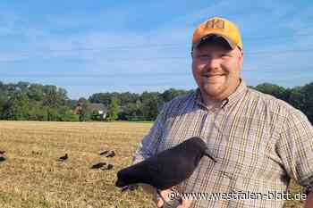 Hegering Vlotho nimmt Aaskrähen ins Visier