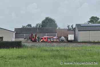Tractor vat vuur in loods, landbouwer kan vlammen zelf blussen: “Grotere ramp vermeden”