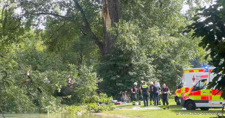 Abbrechender Ast verletzt zwei Menschen im Englischen Garten