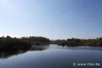 Natuurinspectie onderzoekt illegaal uitzetten van honderden eenden door steenrijke Limburgse familie in natuurgebied