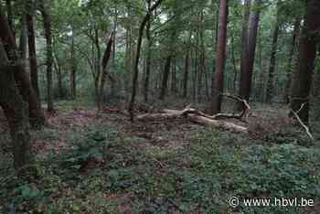 Drie Keltische landbouwsites in Pelt en Oudsbergen worden beschermd