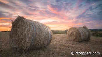 Lightroom Tips: Creating a 3D Effect With Masking Tools