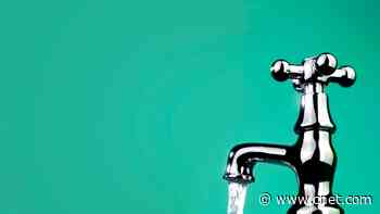 5 Quick Tips to Save on Water Bills This Summer