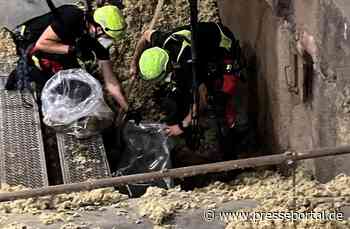 FW-F: Wassereinbruch im Dom