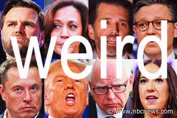 Democrats made 'weird' an effective weapon, and then Republicans turned it on LGBTQ people