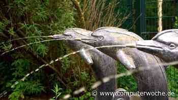 In 3 Schritten zum MySQL-Server