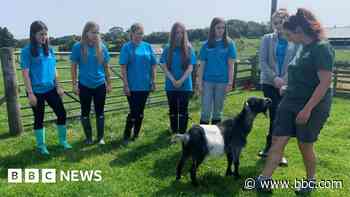 'There’s never been a better time to apply to vet school'