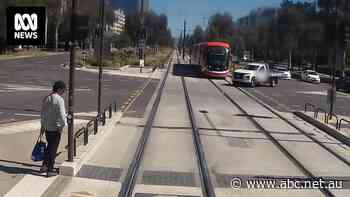 More than 40 near misses and four collisions with Canberra's light rail in six months