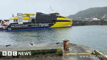 Council chief 'disappointed' by axing of ferry