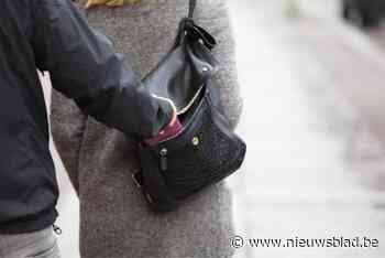 Gauwdieven stelen portefeuille uit handtas