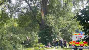 Von herabstürzendem Ast begraben: Frau (27) im Englischen Garten schwer verletzt